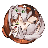 KOL Avatar