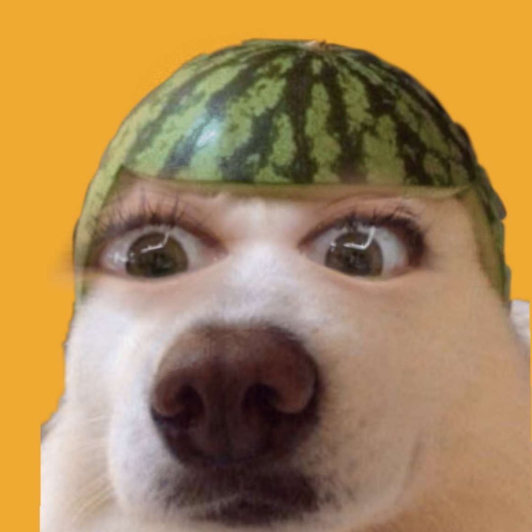 KOL Avatar